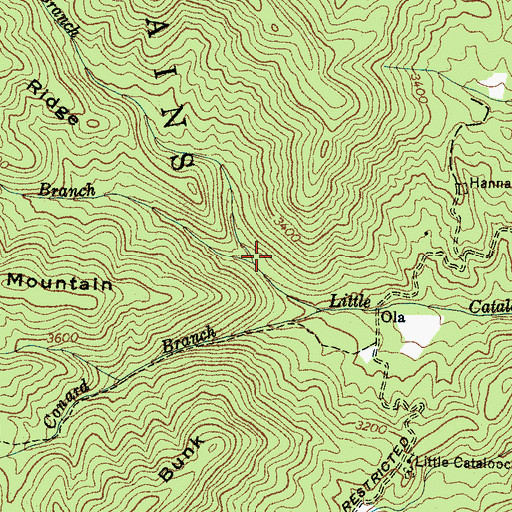 Topographic Map of Andy Branch, NC
