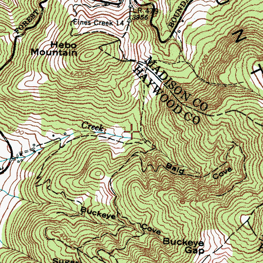 Topographic Map of Bald Cove, NC