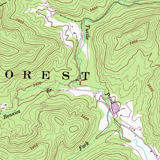 Topographic Map of Bennies Branch, NC