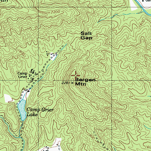 Topographic Map of Bergen Mountain, NC