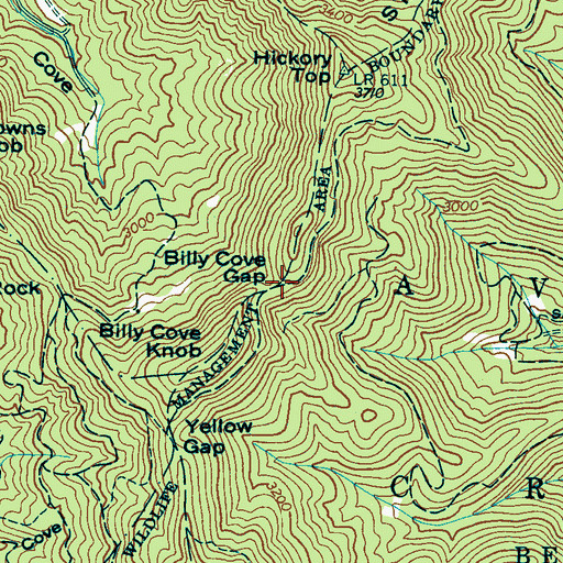 Topographic Map of Billy Cove Gap, NC
