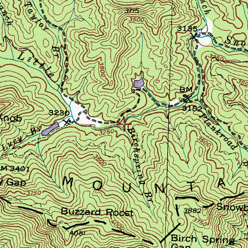 Topographic Map of Birchspring Branch, NC