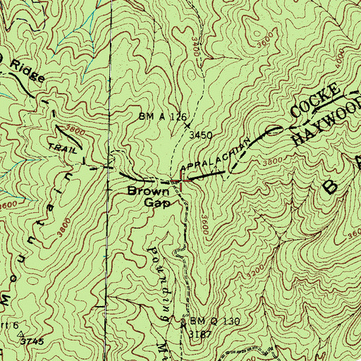 Topographic Map of Brown Gap, NC
