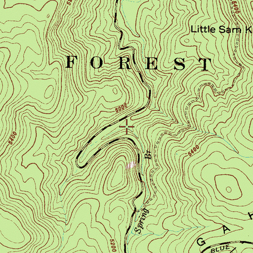Topographic Map of Bubbling Spring Branch, NC