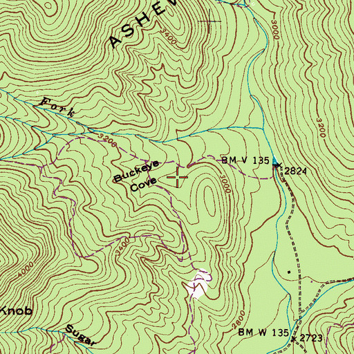 Topographic Map of Buckeye Cove, NC