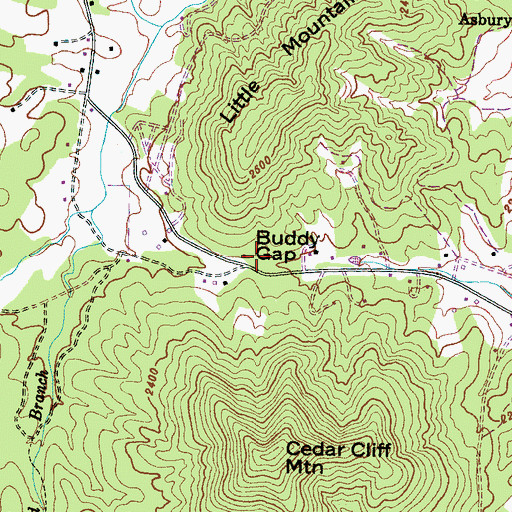 Topographic Map of Buddy Gap, NC
