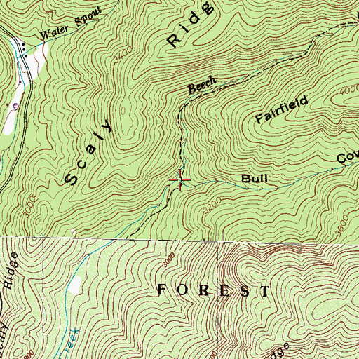 Topographic Map of Bull Cove, NC