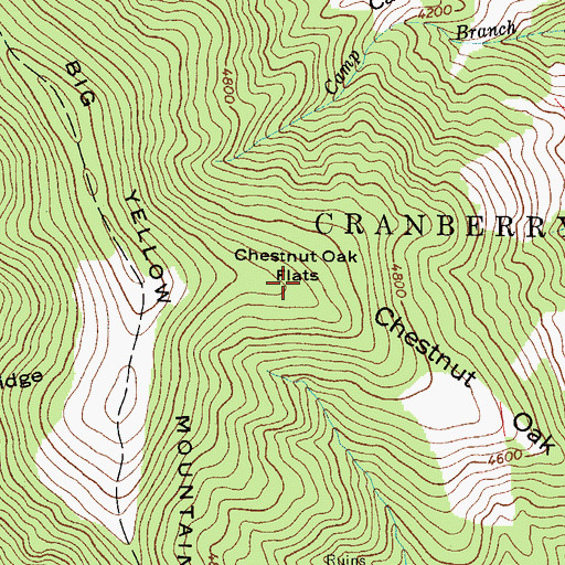 Topographic Map of Chestnut Oak Flats, NC