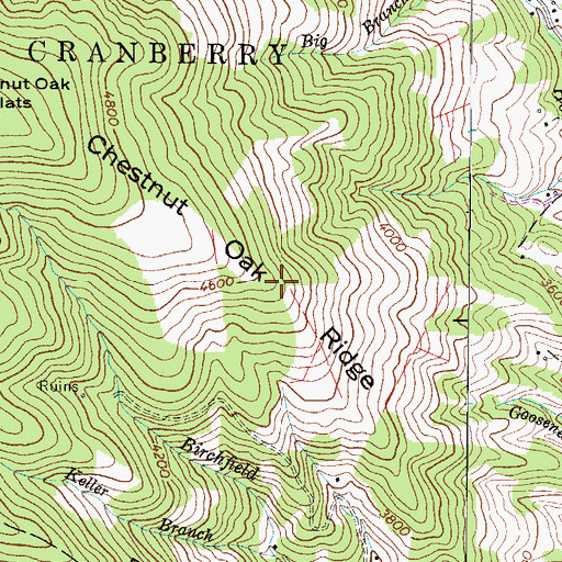 Topographic Map of Chestnut Oak Ridge, NC
