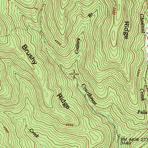 Topographic Map of Coalney Branch, NC