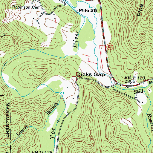 Topographic Map of Dicks Gap, NC
