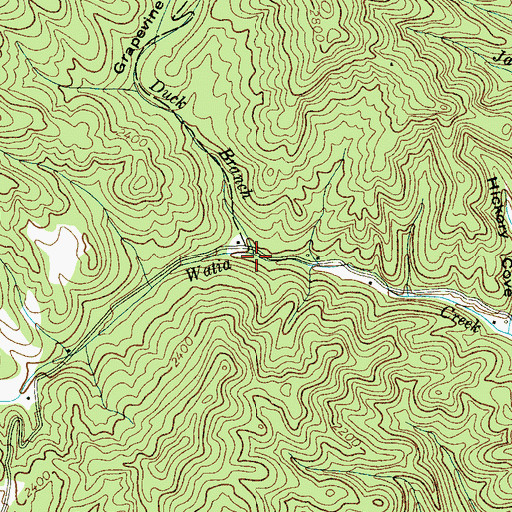 Topographic Map of Duck Branch, NC