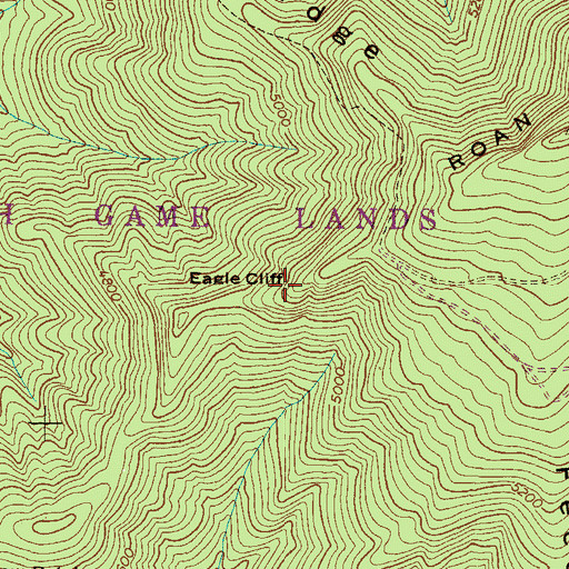 Topographic Map of Eagle Cliff, NC