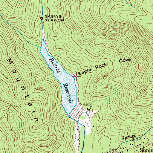 Topographic Map of Eagle Rock Cove, NC