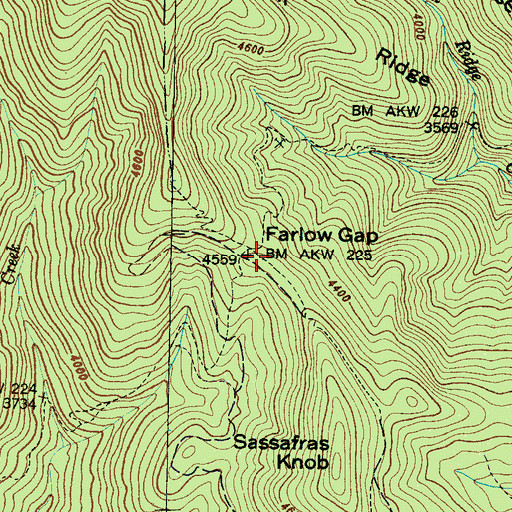Topographic Map of Farlow Gap, NC