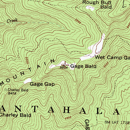 Topographic Map of Gage Bald, NC