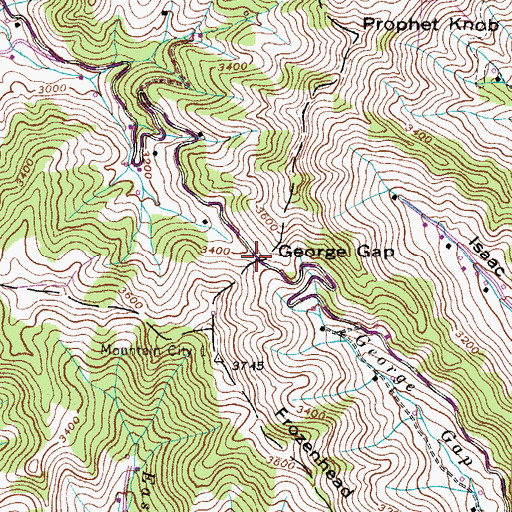 Topographic Map of George Gap, NC