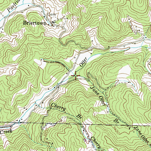 Topographic Map of Jane Otter Branch, NC