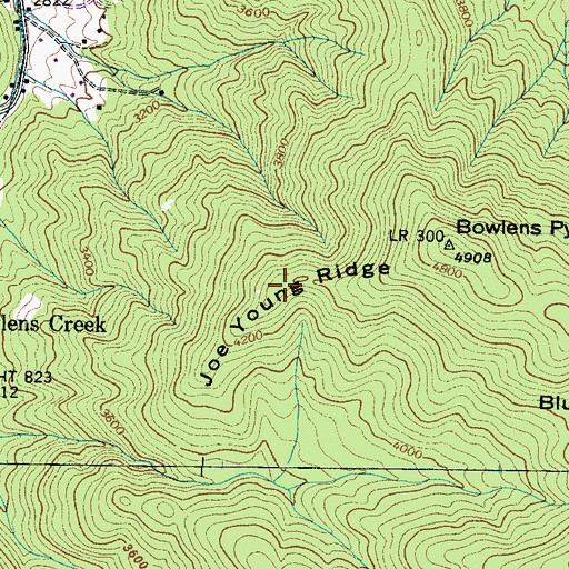 Topographic Map of Joe Young Ridge, NC