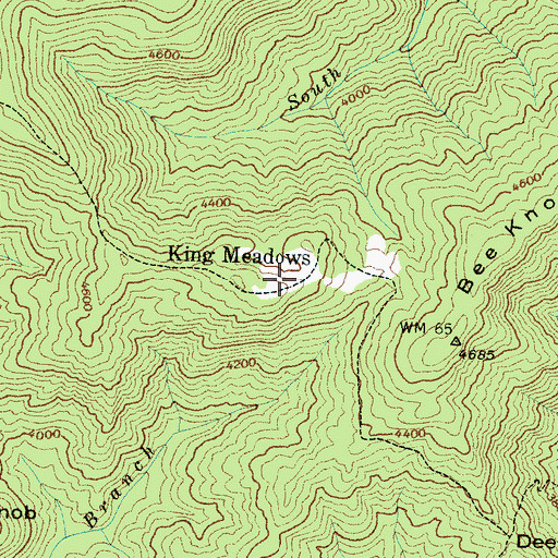 Topographic Map of King Meadows, NC