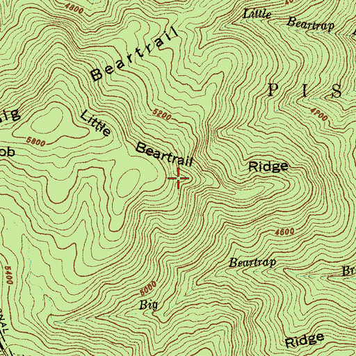 Topographic Map of Little Beartrap Ridge, NC