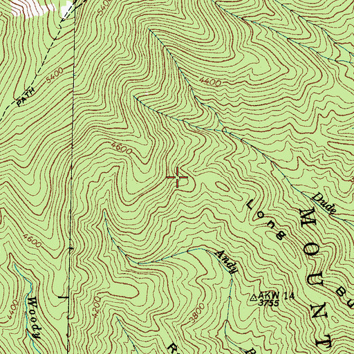 Topographic Map of Long Bunk, NC