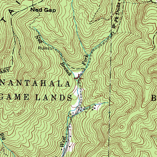 Topographic Map of Ned Branch, NC