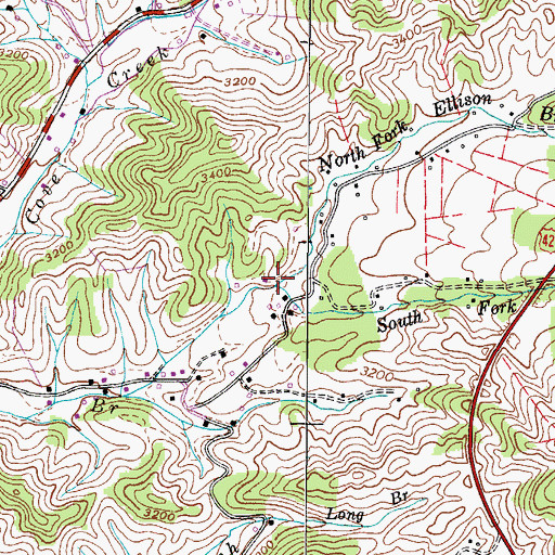 Topographic Map of North Fork Ellison Branch, NC