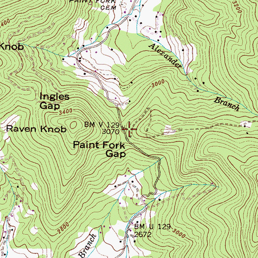 Topographic Map of Paint Fork Gap, NC