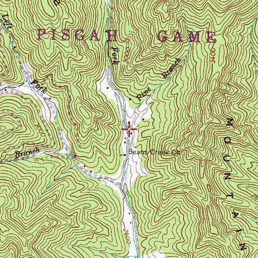 Topographic Map of Pine Branch, NC