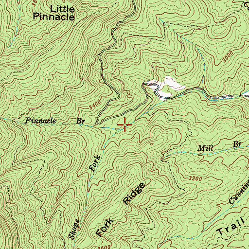 Topographic Map of Pinnacle Branch, NC