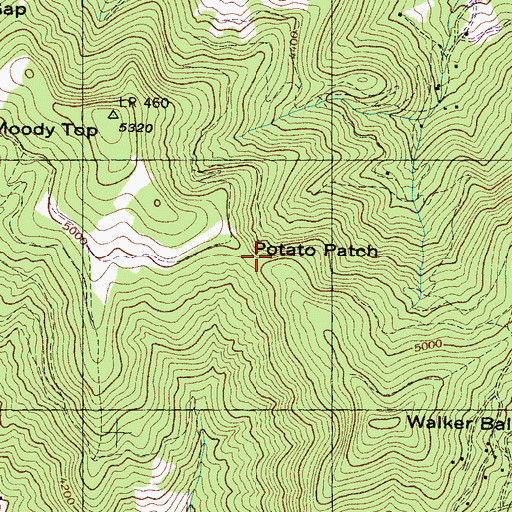 Topographic Map of Potato Patch, NC
