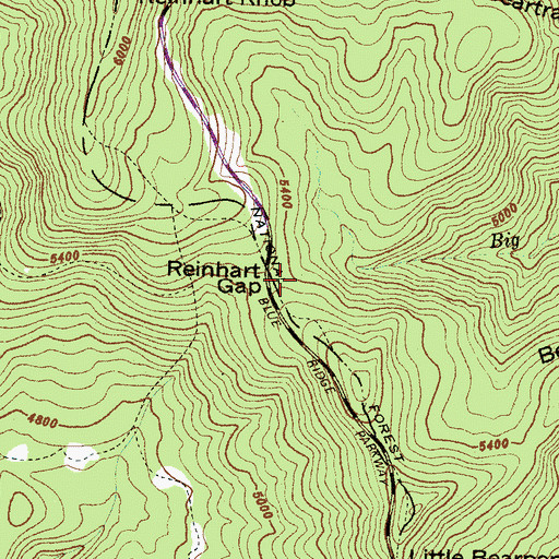 Topographic Map of Reinhart Gap, NC