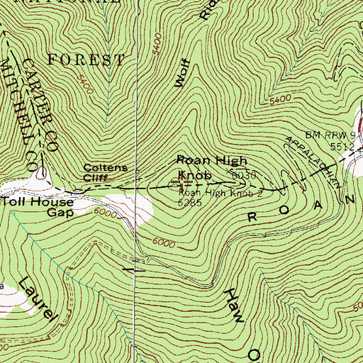 Topographic Map of Roan Mountain, NC