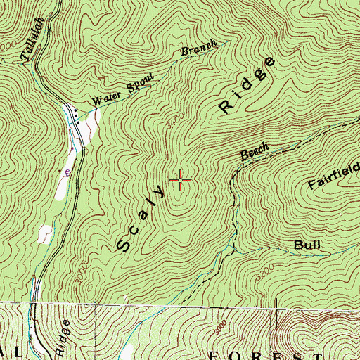 Topographic Map of Scaly Ridge, NC