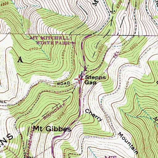 Topographic Map of Stepps Gap, NC