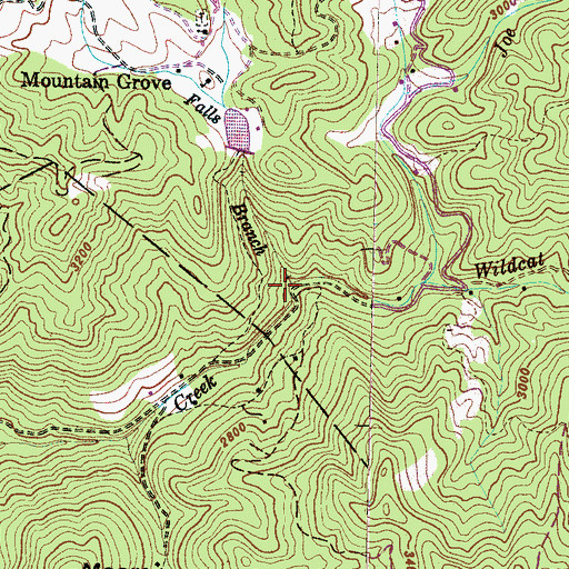Topographic Map of Wildcat Creek, NC