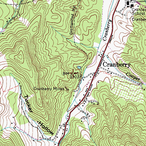 Topographic Map of Cranberry Dam, NC