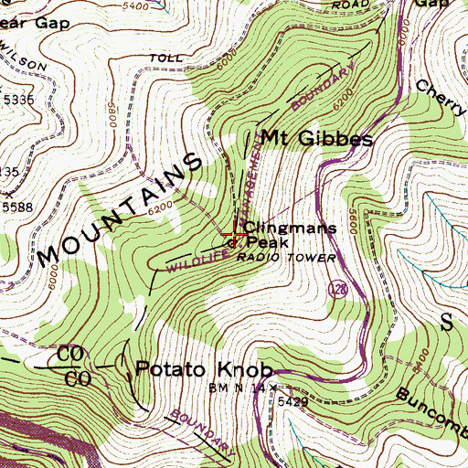 Topographic Map of WMIT-FM (Black Mountain), NC