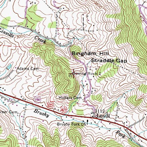 Topographic Map of Bingham Hill, NC