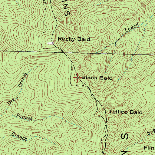 Topographic Map of Black Bald, NC
