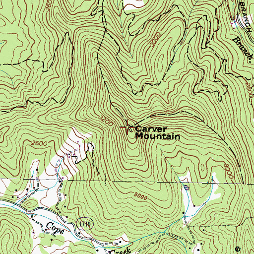 Topographic Map of Carver Mountain, NC