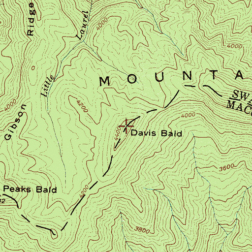 Topographic Map of Davis Bald, NC