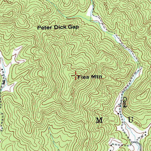 Topographic Map of Flea Mountain, NC