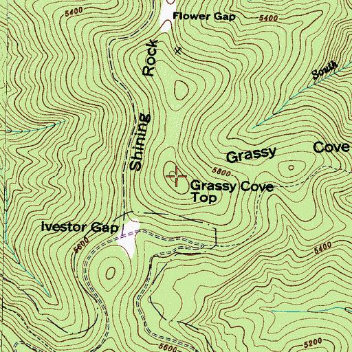 Topographic Map of Grassy Cove Top, NC