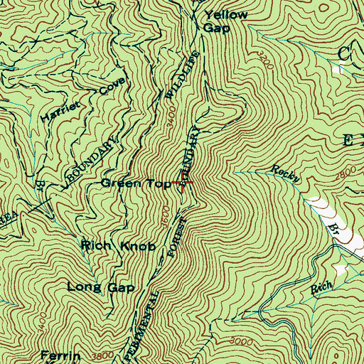 Topographic Map of Green Top, NC