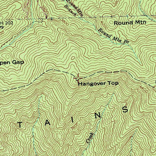 Topographic Map of Hangover Top, NC