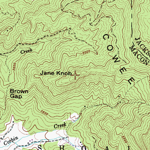 Topographic Map of Jane Knob, NC