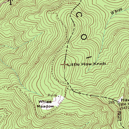 Topographic Map of Little Haw Knob, NC