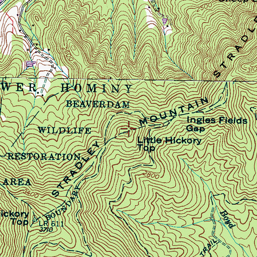 Topographic Map of Little Hickory Top, NC